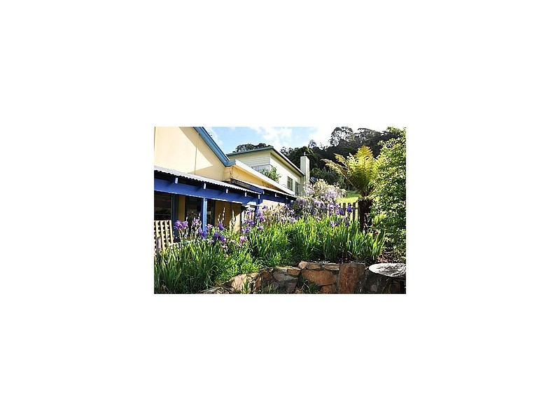 62 Main Street, Derby TAS 7264