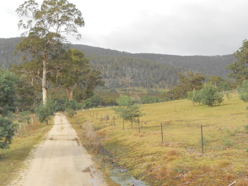 241 Williams Road, Royal George TAS 7213