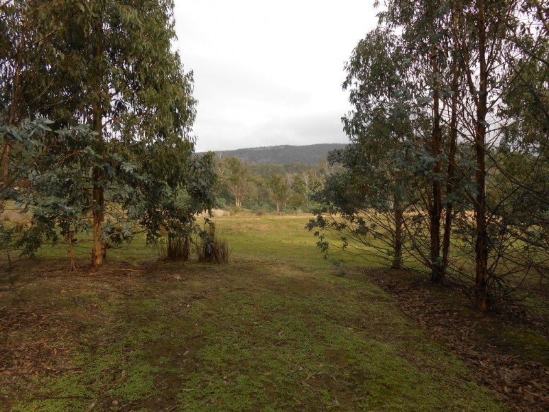 241 Williams Road, Royal George TAS 7213