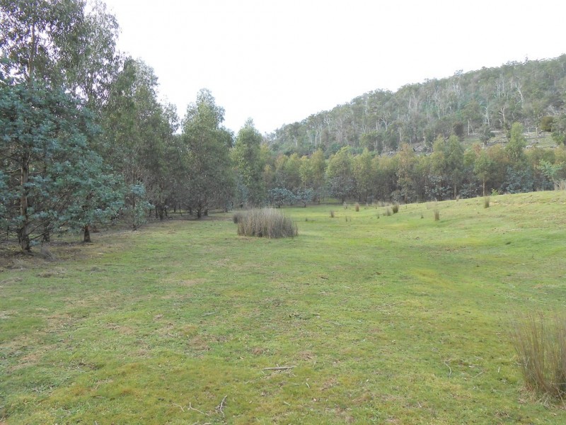 241 Williams Road, Royal George TAS 7213