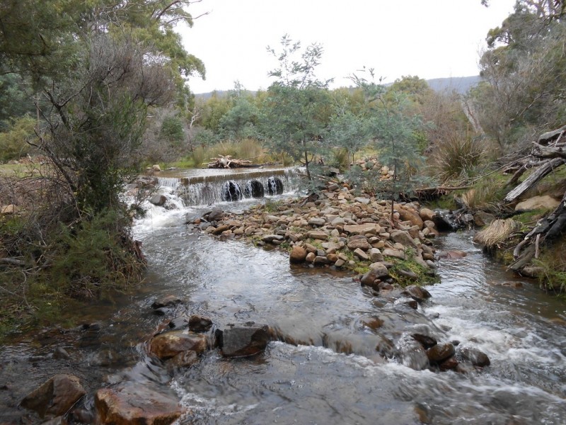 241 Williams Road, Royal George TAS 7213