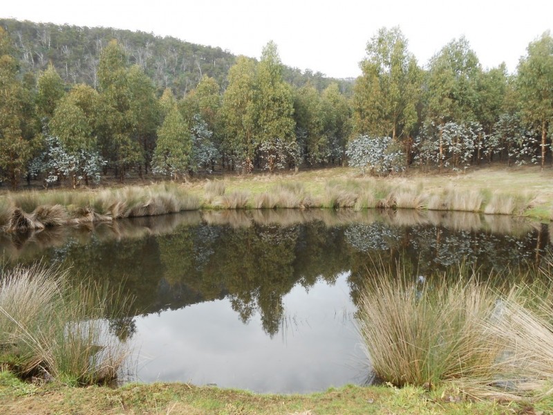 241 Williams Road, Royal George TAS 7213