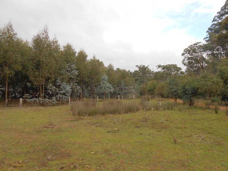 241 Williams Road, Royal George TAS 7213