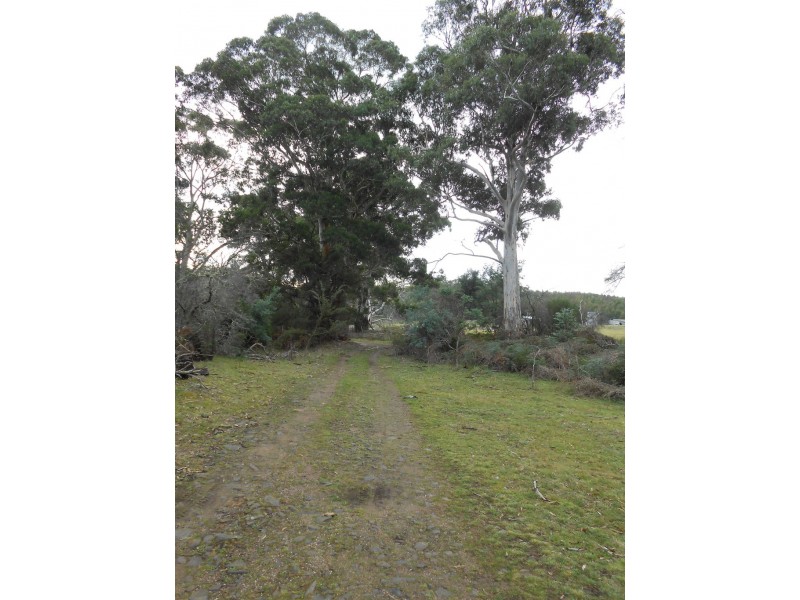 241 Williams Road, Royal George TAS 7213