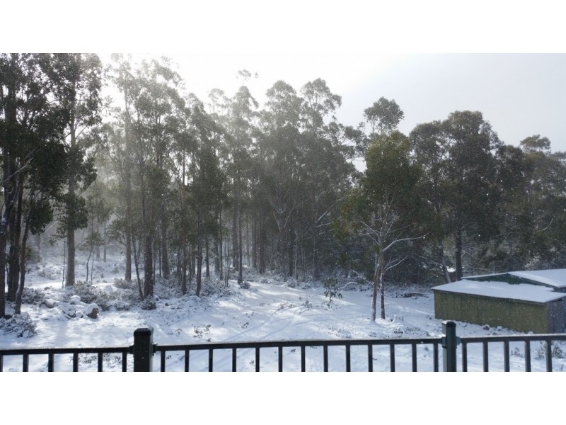 774 Arthurs Lake Road, Arthurs Lake TAS 7030
