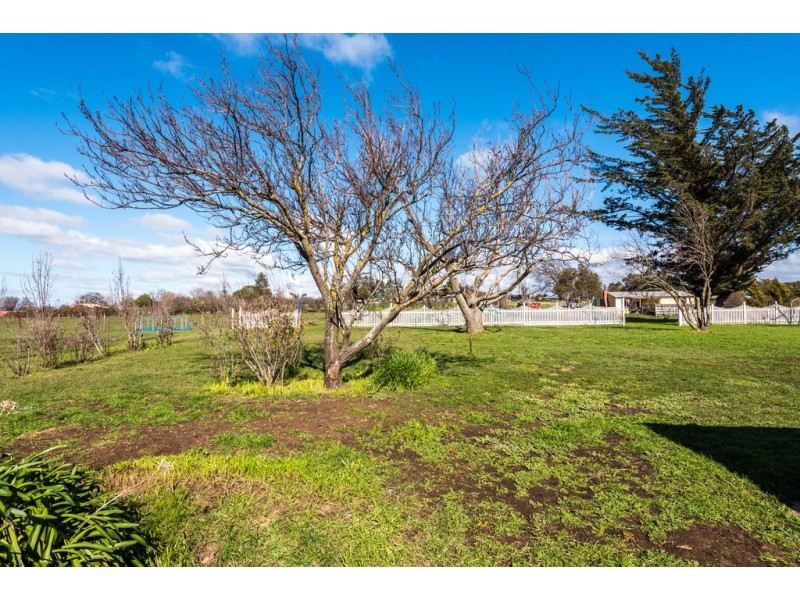 20 Pedder Street, Campbell Town TAS 7210