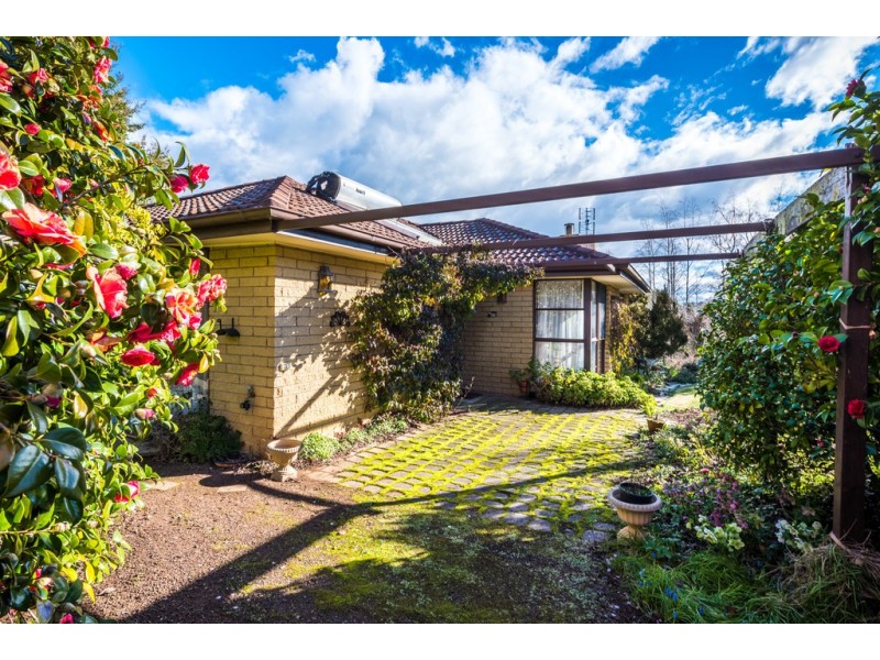 24 Arthur Street, Westbury TAS 7303