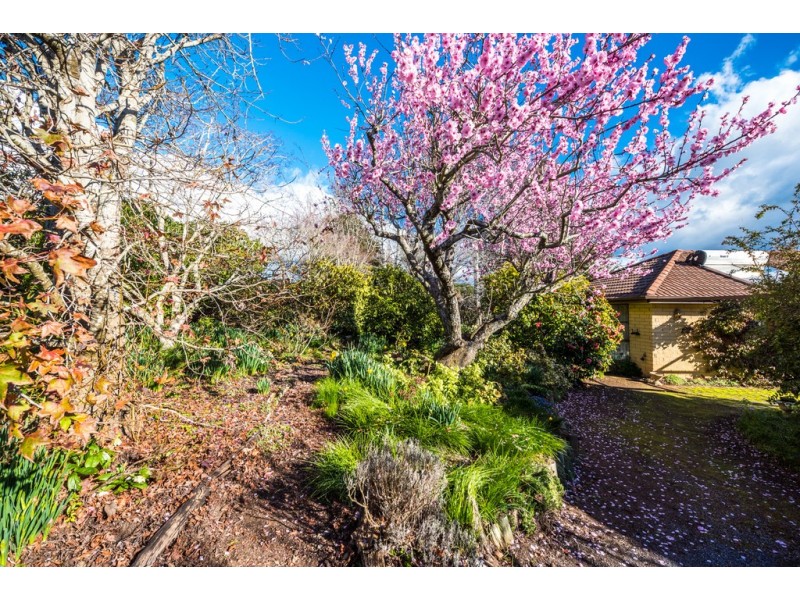 24 Arthur Street, Westbury TAS 7303