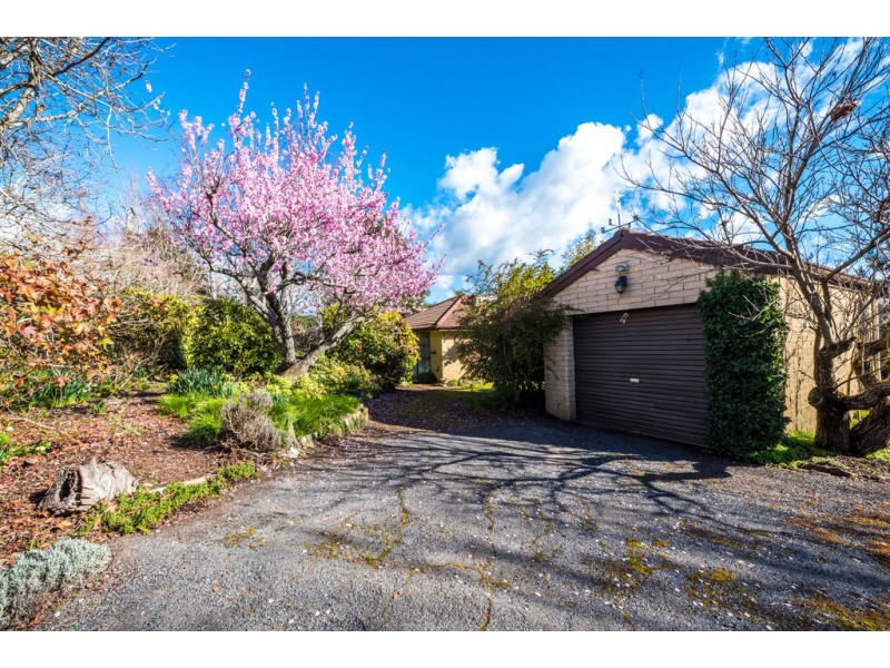 24 Arthur Street, Westbury TAS 7303