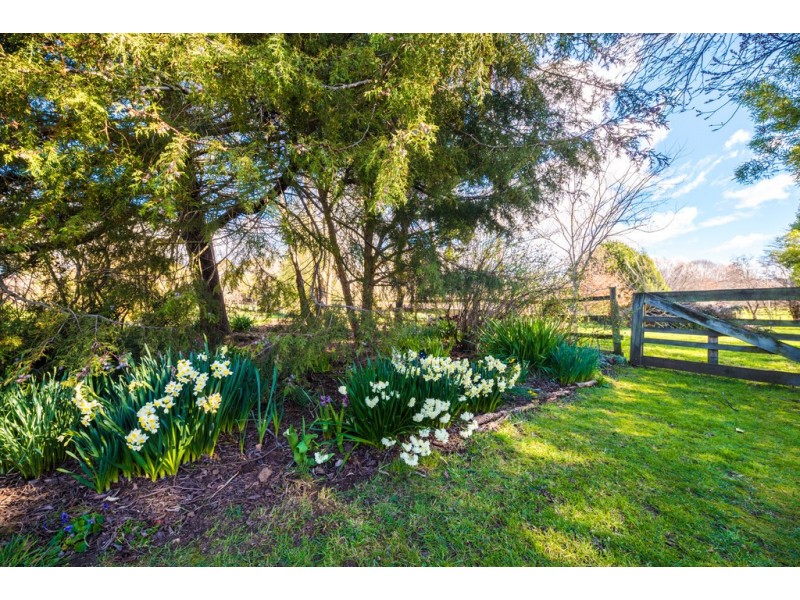 24 Arthur Street, Westbury TAS 7303