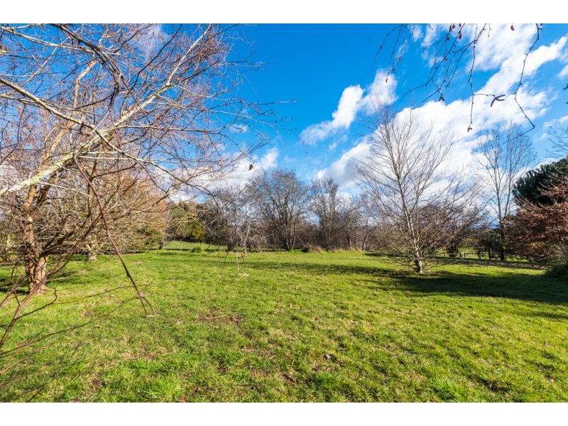 24 Arthur Street, Westbury TAS 7303