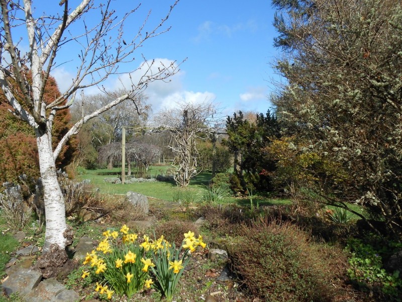 24 Arthur Street, Westbury TAS 7303