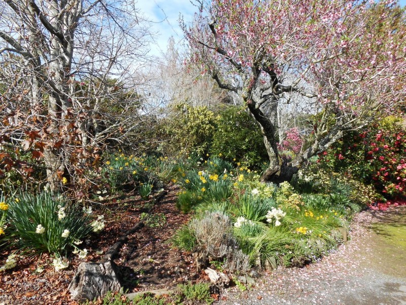 24 Arthur Street, Westbury TAS 7303