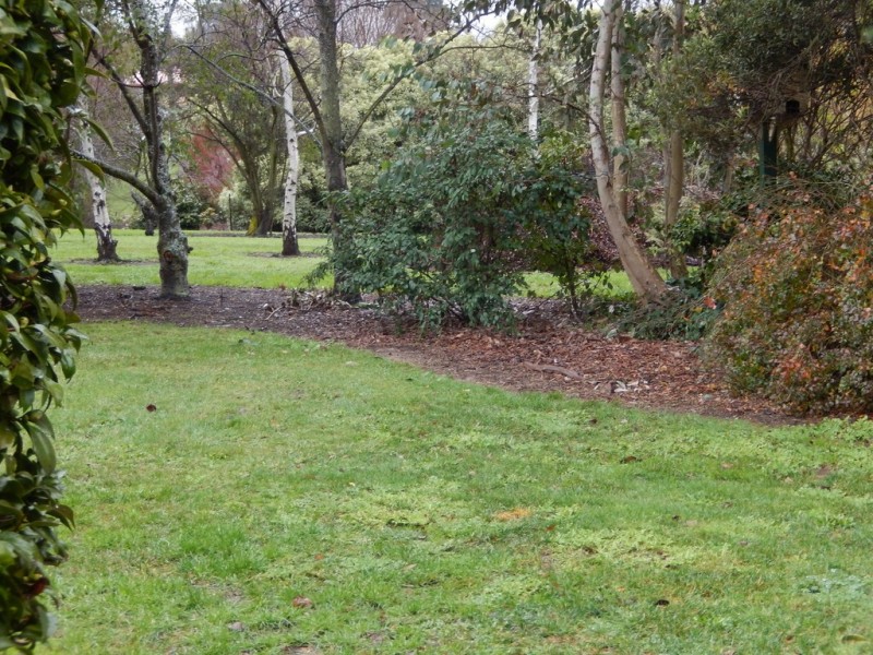 31B Arthur Street, Perth TAS 7300