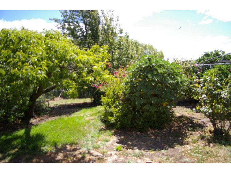 2 Badajos Street, Ross TAS 7209