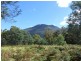 90 Gulf Road, Liffey TAS 7301