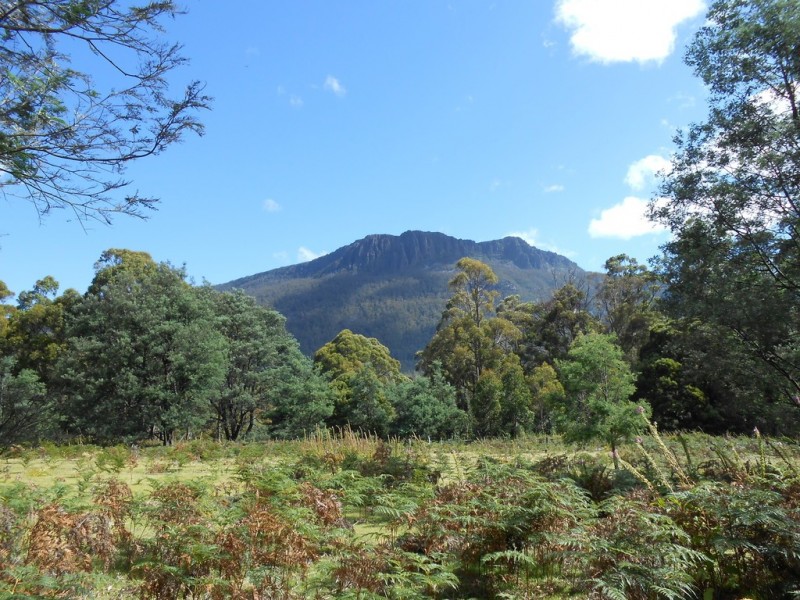 90 Gulf Road, Liffey TAS 7301