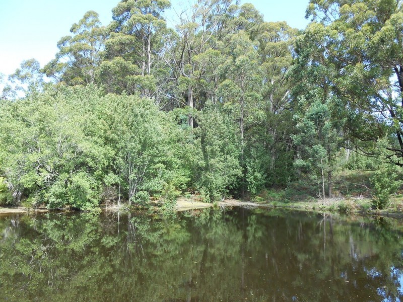 90 Gulf Road, Liffey TAS 7301