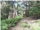 90 Gulf Road, Liffey TAS 7301