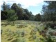 90 Gulf Road, Liffey TAS 7301