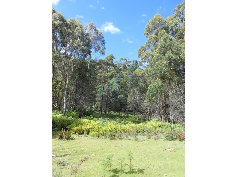 90 Gulf Road, Liffey TAS 7301