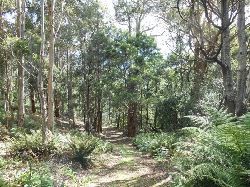 90 Gulf Road, Liffey TAS 7301