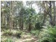 90 Gulf Road, Liffey TAS 7301