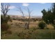 28 Portugal Street, Ross TAS 7209