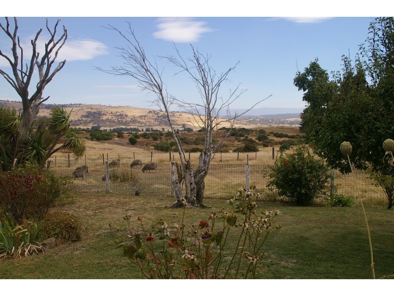 28 Portugal Street, Ross TAS 7209