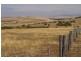 28 Portugal Street, Ross TAS 7209