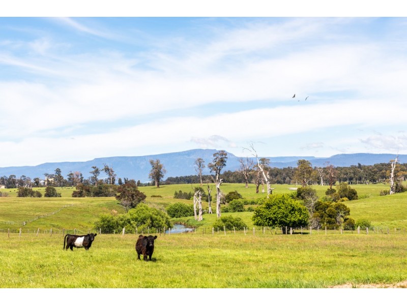Lot 11 / 54 Bishopsbourne Road, Carrick TAS 7291