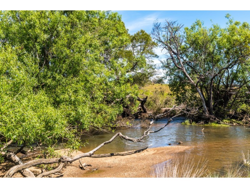 Lot 11 / 54 Bishopsbourne Road, Carrick TAS 7291