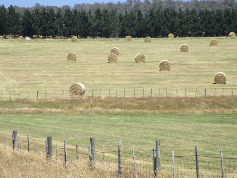 Lot 11 / 54 Bishopsbourne Road, Carrick TAS 7291
