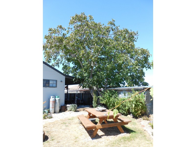 20A Catherine Street, Longford TAS 7301