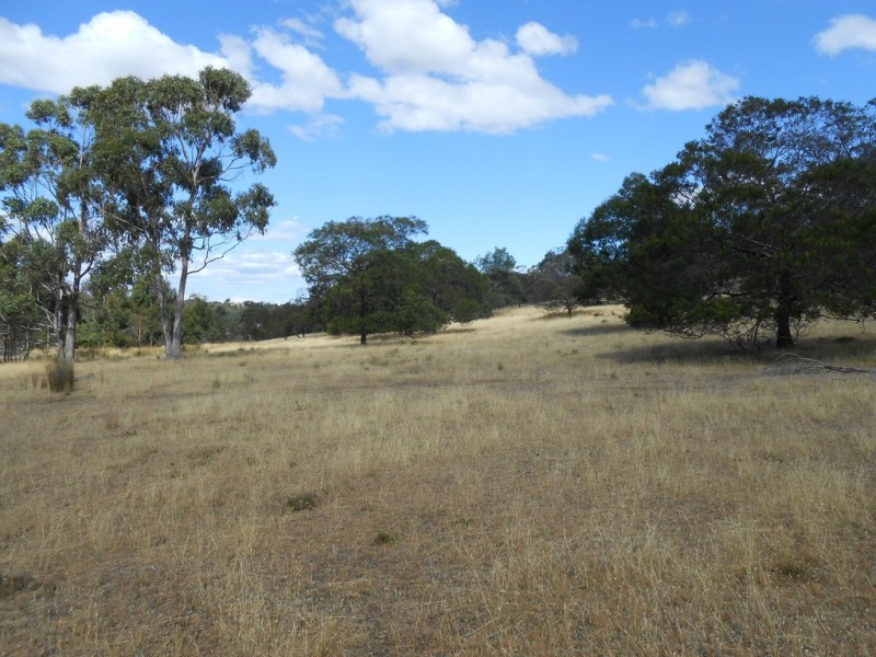 Lot 3/5 Collins Street, Perth TAS 7300