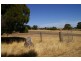 Lot 2 Bond Street, Ross TAS 7209