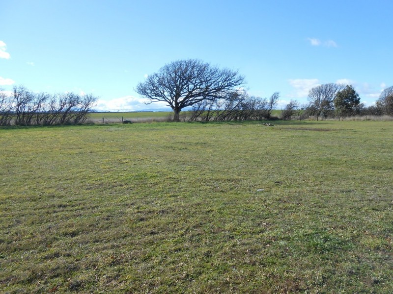 5 Jetson Court, Cressy TAS 7302