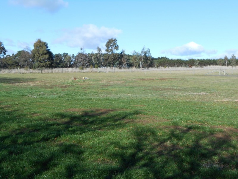 5 Jetson Court, Cressy TAS 7302