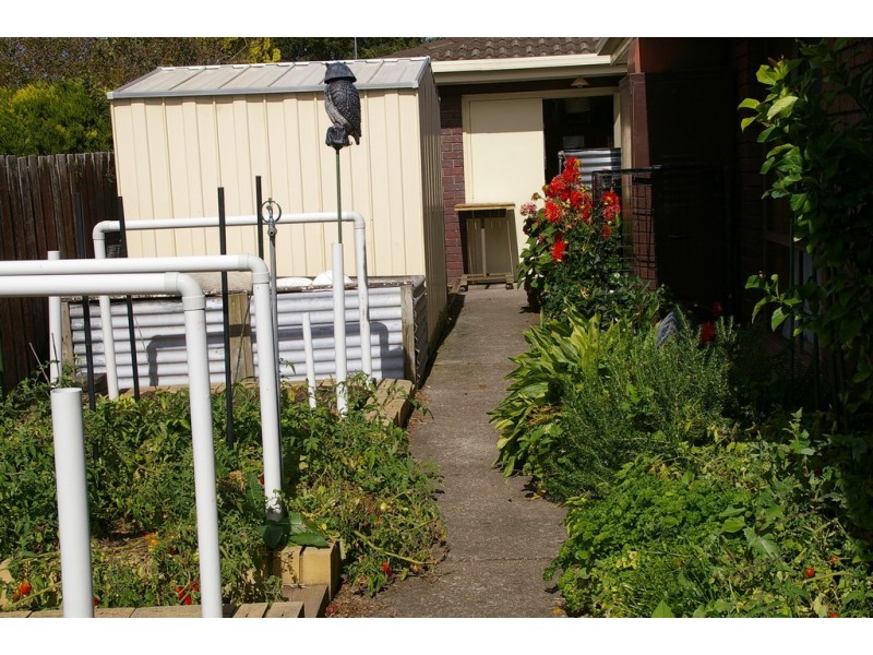 16 Talbot Street, Longford TAS 7301