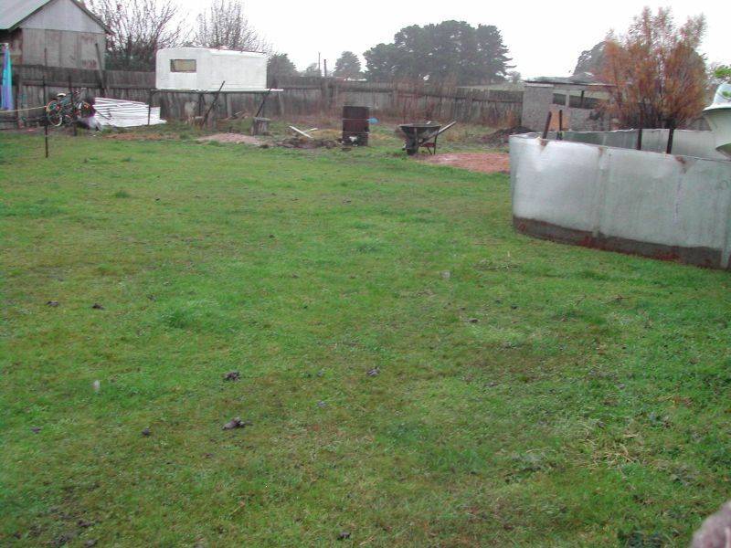 11 Macquarie Street, Cressy TAS 7302
