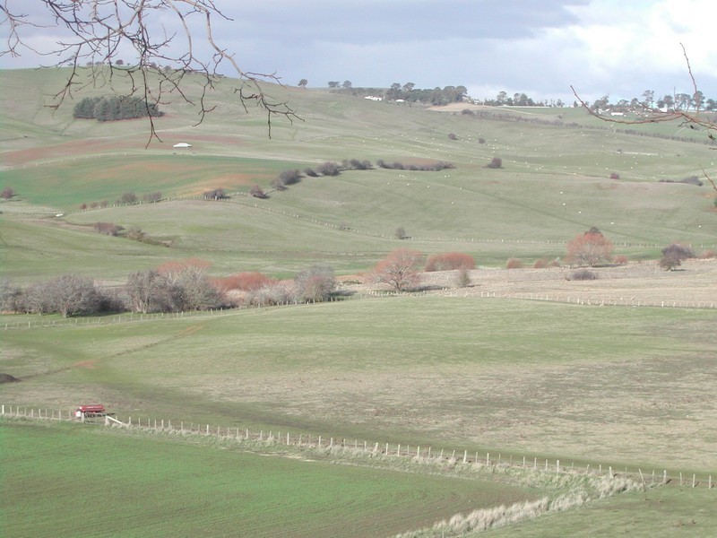 443 Relbia Road, Relbia TAS 7258