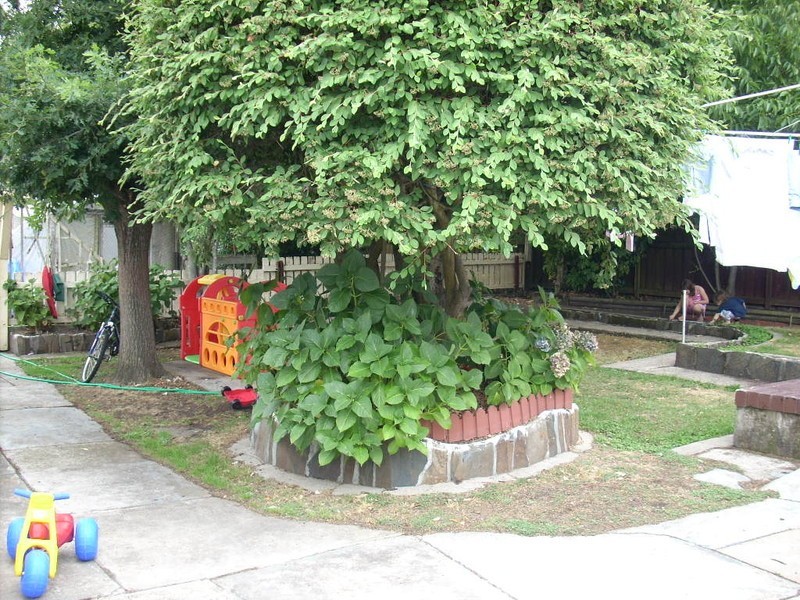 2 Clarence Street, Perth TAS 7300