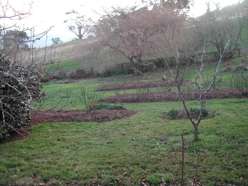 1363 Blackwood Creek Road, Blackwood Creek TAS 7301