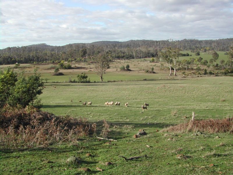 1633 Bridgenorth Road, Rosevale TAS 7292