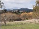 Lot 2 Stieglitz Street, Avoca TAS 7213