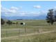 136 Main Street, Cressy TAS 7302