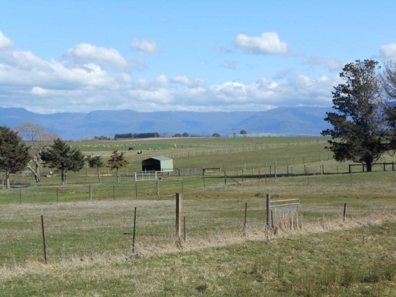136 Main Street, Cressy TAS 7302