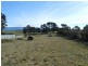 136 Main Street, Cressy TAS 7302