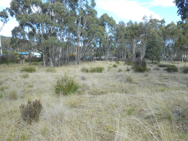 2 Lake View Road, Lake Leake TAS 7210