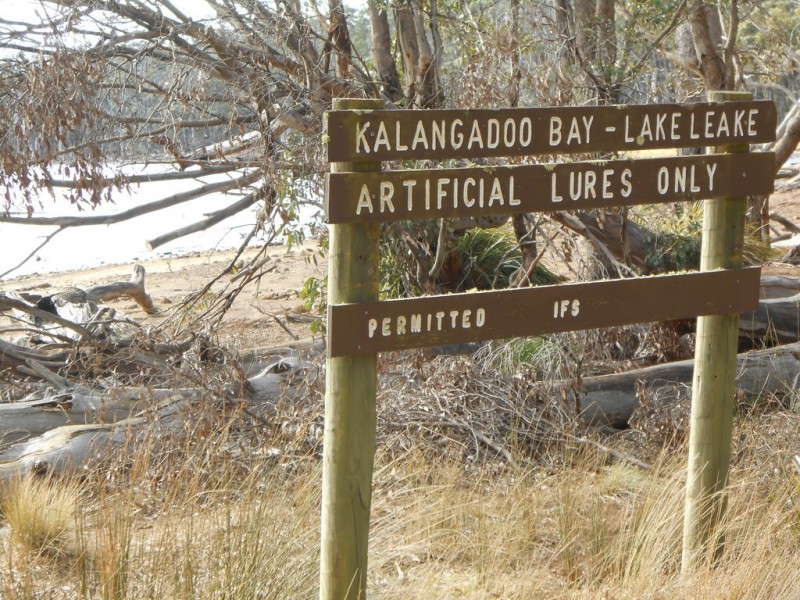 2 Lake View Road, Lake Leake TAS 7210